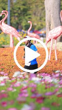 BIB:  <button type="button" onclick="openModal(27588534)" class="btn btn-primary btn-sm float-right" data-toggle="modal" data-target=".modal-high-quality">
                <i class="fa fa-download"></i> Download
                </button>